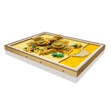 LEGO® Art Vincent van Gogh - Les Tournesols 31215 (6/10)