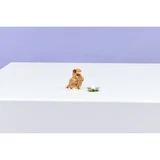 LEGO® Creator Niedlicher Hamster mit Blume 31376 (10/12)
