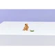 Cute Hamster with a Flower 31376 thumbnail-9
