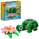 Schildkröte mit Seerose 31377 thumbnail-0