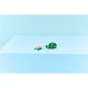 Schildkröte mit Seerose 31377 thumbnail-7