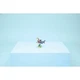 Wilder Hai mit Schatztruhe 31381 thumbnail-7