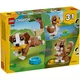 Niedliche Tiere: Verspielter Welpe 31382 thumbnail-10