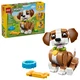 Niedliche Tiere: Verspielter Welpe 31382 thumbnail-0