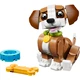 Niedliche Tiere: Verspielter Welpe 31382 thumbnail-1