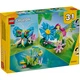 Wild Animals: Colorful Hummingbird 31384 thumbnail-12