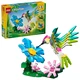 Wild Animals: Colorful Hummingbird 31384 thumbnail-0