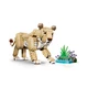 Wilde Tiere: Majestätischer Löwe 31386 thumbnail-9