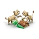 Wilde Tiere: Majestätischer Löwe 31386 thumbnail-10