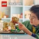 Wilde Tiere: Majestätischer Löwe 31386 thumbnail-20