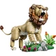 Wilde Tiere: Majestätischer Löwe 31386 thumbnail-1
