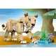 Wilde Tiere: Majestätischer Löwe 31386 thumbnail-30