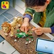 Wilde Tiere: Majestätischer Löwe 31386 thumbnail-32
