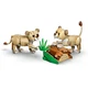 Wilde Tiere: Majestätischer Löwe 31386 thumbnail-6