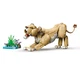 Wilde Tiere: Majestätischer Löwe 31386 thumbnail-7