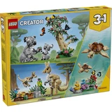 LEGO® Creator Wilde Tiere: Koala-Familie 31388 (24/26)
