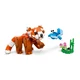 Niedliche Tiere: Roter Panda 31394 thumbnail-9