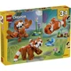 Niedliche Tiere: Roter Panda 31394 thumbnail-17