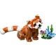 Niedliche Tiere: Roter Panda 31394 thumbnail-20