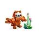 Niedliche Tiere: Roter Panda 31394 thumbnail-4