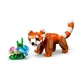 Niedliche Tiere: Roter Panda 31394 thumbnail-6