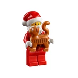 LEGO® Seasonal Santa's Visit 40125 (5/5)