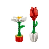LEGO® Seasonal Flower Display 40187 (2/2)