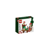 LEGO® Seasonal kleine elfhulpjes 40205 (1/5)