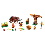 LEGO® Saisonnier Thanksgiving Harvest 40261 (2/8)