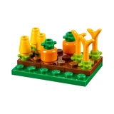 LEGO® Saisonnier Thanksgiving Harvest 40261 (3/8)