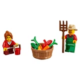 LEGO® Saisonnier Thanksgiving Harvest 40261 (5/8)