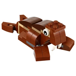 Walrus 40276