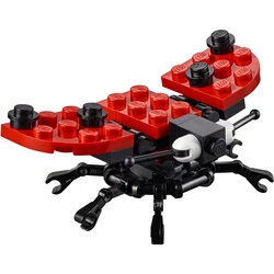 Ladybird 40324