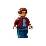 LEGO® Marvel Super Heroes Spider-Man and the Museum Break-In 40343 (4/12)