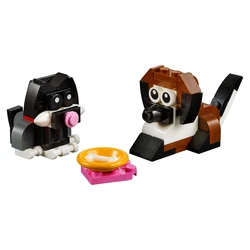 Dog and Cat Friendship Day 40401