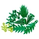 Plants from Plants 40435 thumbnail-0