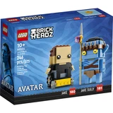 LEGO® Avatar Jake Sully en zijn avatar 40554 (1/11)