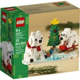 LEGO® Divers Les ours blancs en hiver 40571 (1/5) LEGO® Divers Les ours blancs en hiver 40571 (1/5)