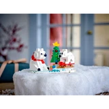 LEGO® Divers Les ours blancs en hiver 40571 (5/5) LEGO® Divers Les ours blancs en hiver 40571 (5/5)