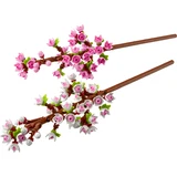 LEGO® Miscellaneous Cherry Blossoms 40725 (2/6)