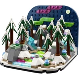 LEGO® Promotional Diorama Polarlichter 40785 (2/4)