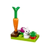 LEGO® Friends Bunny & Babies 41087 (4/6)