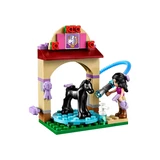 LEGO® Friends Foal's Washing Station 41123 (3/6)