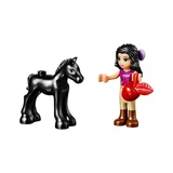 LEGO® Friends Foal's Washing Station 41123 (4/6)