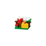 LEGO® Friends Foal's Washing Station 41123 (6/6)