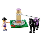 LEGO® Friends Heartlake Reiterhof 41126 (5/6)