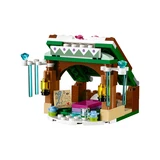 LEGO® Disney™ L'aventure enneigée d'Anna 41147 (3/7) LEGO® Disney™ L'aventure enneigée d'Anna 41147 (3/7)