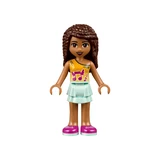 LEGO® Friends Vriendschapshuis 41340 (9/10)