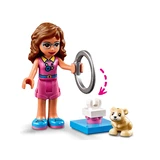 LEGO® Friends Olivias Hamster-Spielplatz 41383 (7/9)