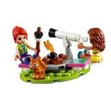 LEGO® Friends Le camping glamour dans la nature 41392 (6/10)